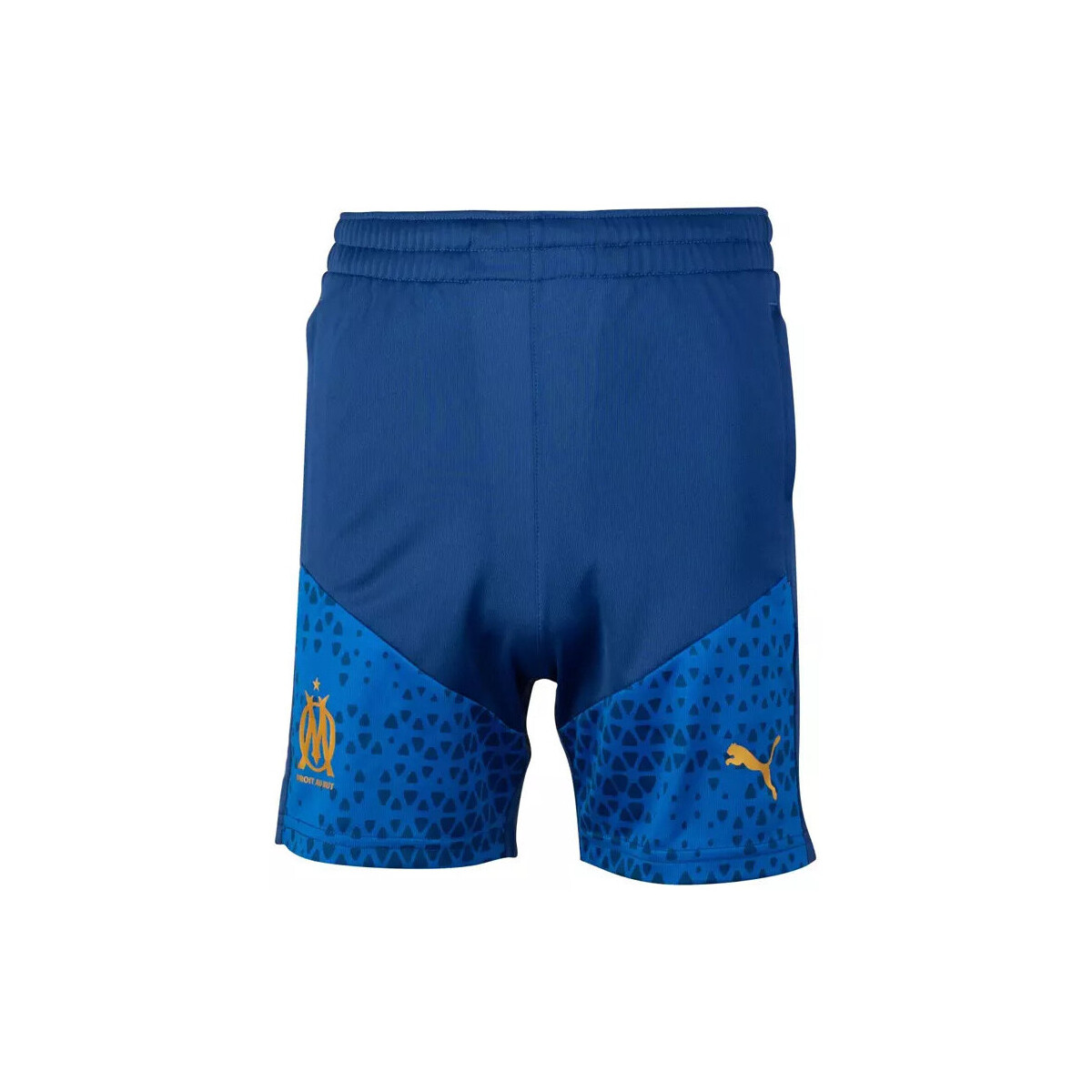 Vêtements Homme Shorts / Bermudas Puma OM TRG Bleu