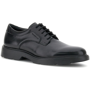 Chaussures Homme Petit : 1 à 2cm femme Stonefly 219802-000 Noir
