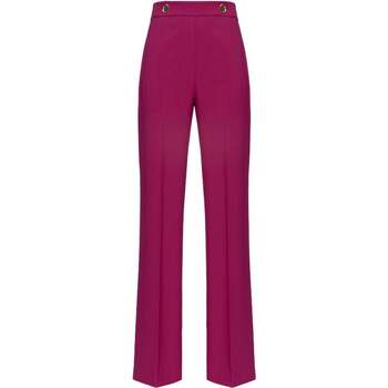 Vêtements Femme Pantalons Pinko  Violet