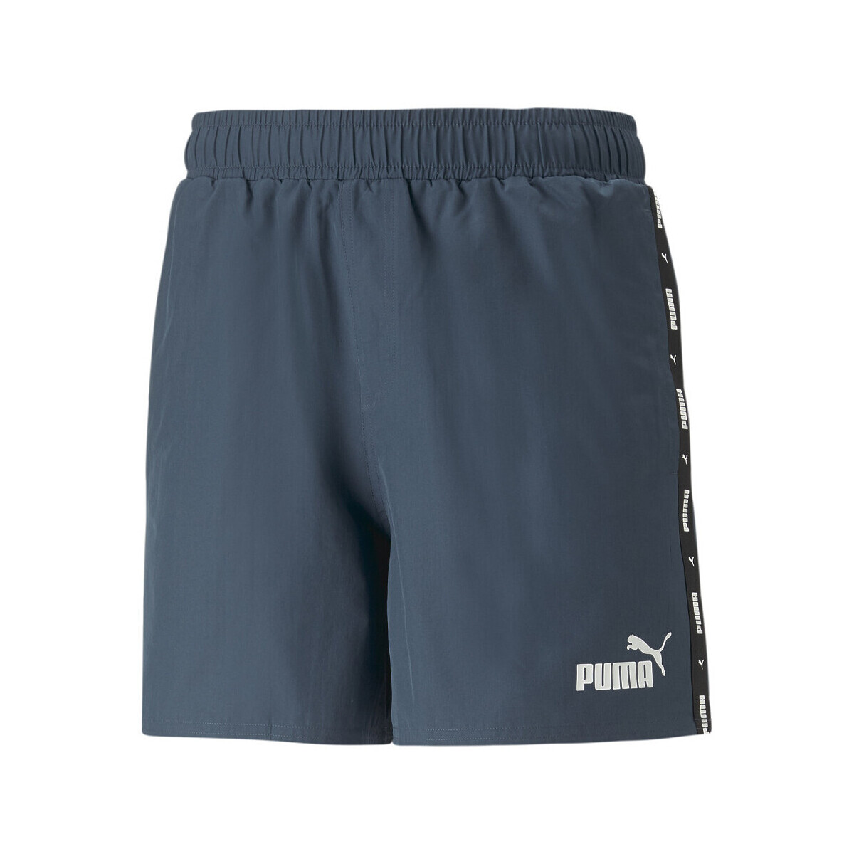 Vêtements Homme Shorts / Bermudas Puma 849043-16 Bleu