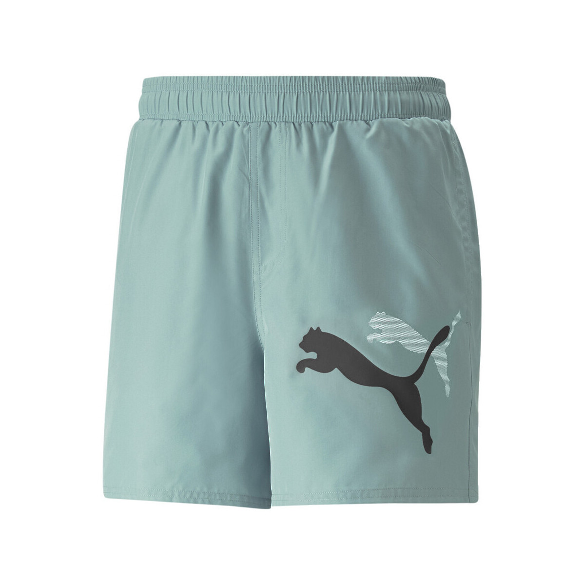 Vêtements Homme Shorts / Bermudas Puma 673382-84 Vert