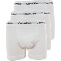 Sous-vêtements Homme Caleçons Calvin Klein Jeans 0000u2662g Blanc