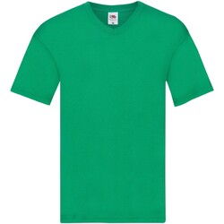 Vêtements Homme T-shirts manches longues Fruit Of The Loom 61426 Vert