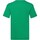 Vêtements Homme T-shirts the manches longues Fruit Of The Loom 61426 Vert