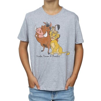 Vêtements Garçon T-shirts manches courtes The Lion King Classic Gris