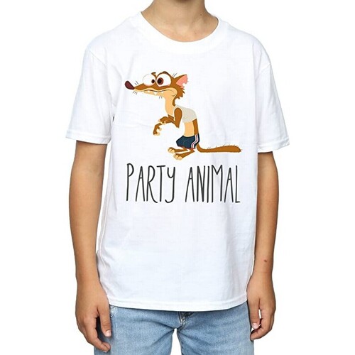 Vêtements Garçon T-shirts manches courtes Zootropolis Party Animal Blanc