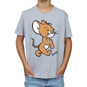 Vêtements Garçon T-shirts manches courtes Dessins Animés Angry Mouse Gris