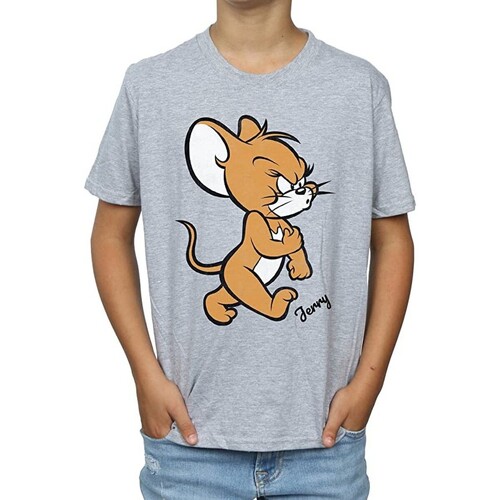 Vêtements Garçon T-shirts manches courtes Dessins Animés Angry Mouse Gris