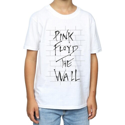 Vêtements Garçon T-shirts & Polos Pink Floyd BI1044 Blanc