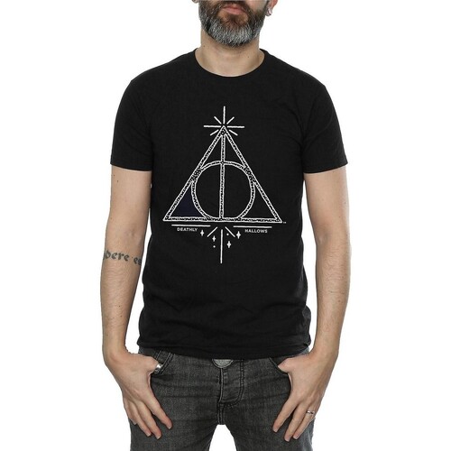 Vêtements Homme T-shirts manches longues Harry Potter BI1045 Noir