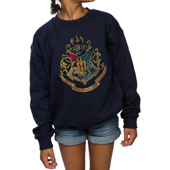 Vêtements Fille Sweats Harry Potter BI1056 Bleu