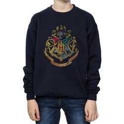 Vêtements Garçon Sweats Harry Potter  Bleu