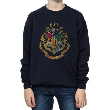 Vêtements Garçon Sweats Harry Potter BI1058 Bleu