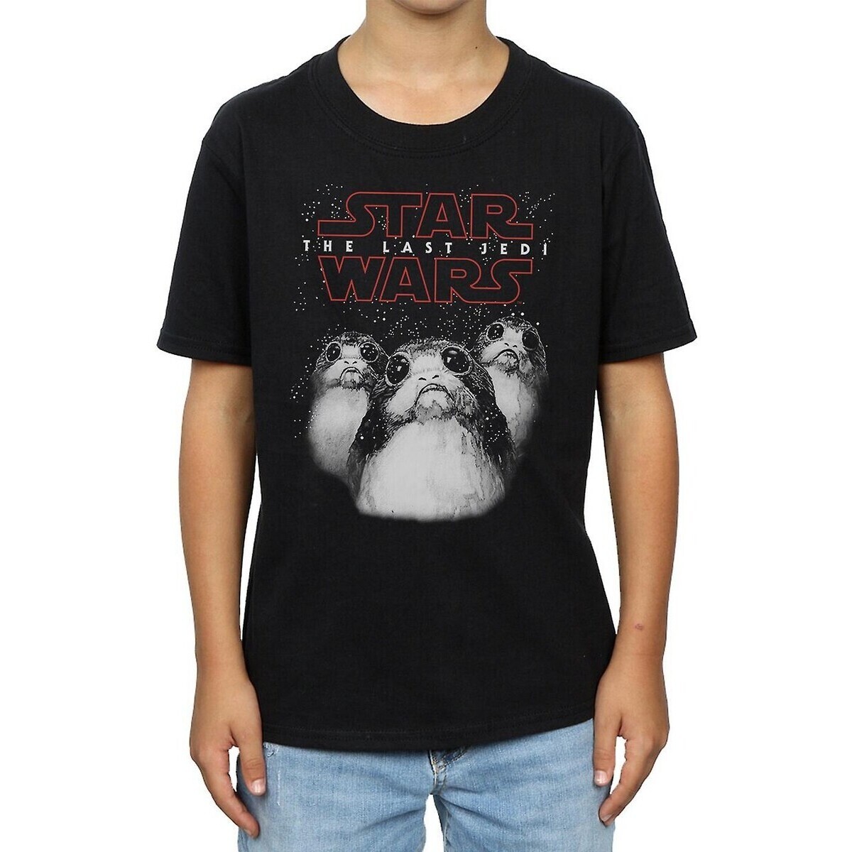 Vêtements Garçon T-shirts manches courtes Star Wars: The Last Jedi BI1093 Noir