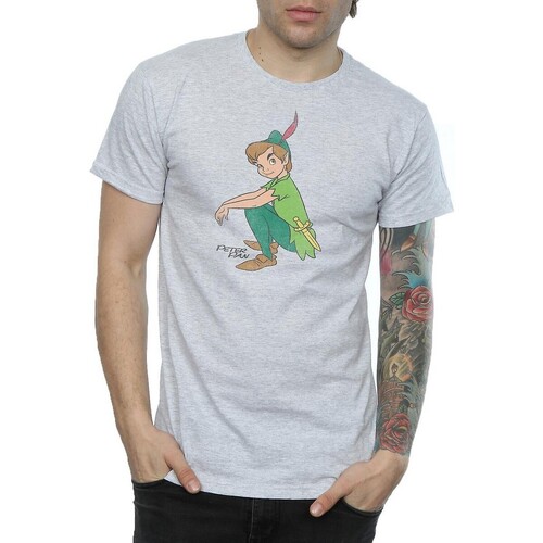 Vêtements Homme T-shirts manches longues Peter Pan Classic Gris