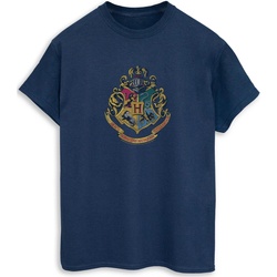Vêtements Homme T-shirts manches longues Harry Potter BI1173 Bleu