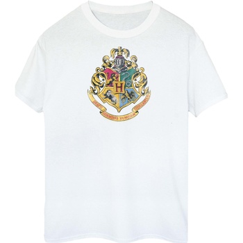 Vêtements Homme T-shirts manches longues Harry Potter BI1173 Blanc