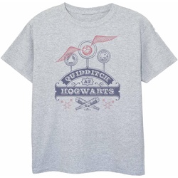 Vêtements Fille T-shirts manches longues Harry Potter Quidditch At Hogwarts Gris