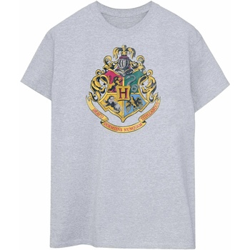 Vêtements Homme T-shirts manches longues Harry Potter BI1189 Gris