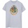Vêtements Homme T-shirts manches longues Harry Potter BI1189 Gris