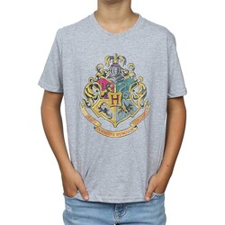 Vêtements Garçon T-shirts manches courtes Harry Potter BI1259 Gris