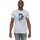 Vêtements Homme T-shirts manches longues Star Wars: The Last Jedi BI1271 Gris