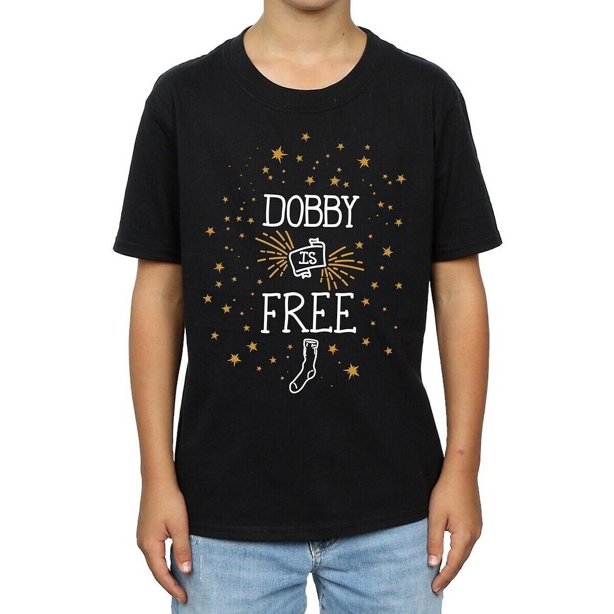 Vêtements Garçon T-shirts manches courtes Harry Potter Dobby Is Free Noir
