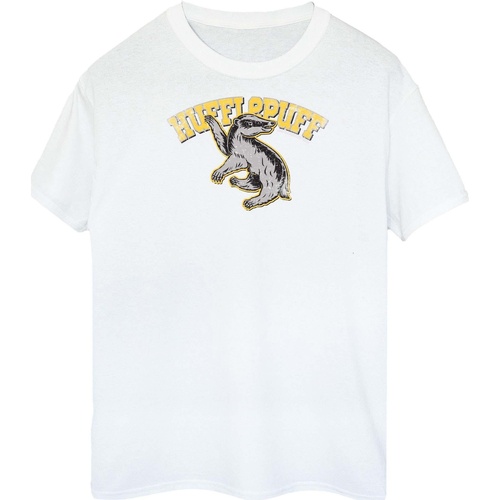 Vêtements Fille T-shirts manches longues Harry Potter BI1283 Blanc