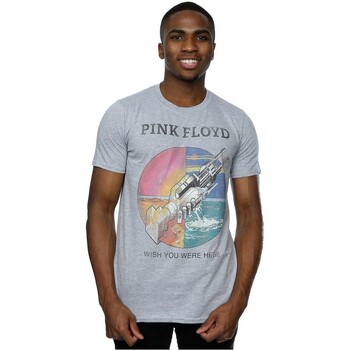 Vêtements Homme T-shirts manches longues Pink Floyd  Gris