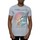Vêtements Homme T-shirts manches longues Pink Floyd Wish You Were Here Gris