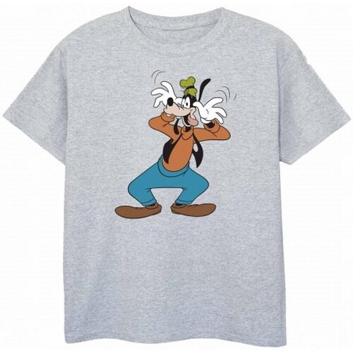 Vêtements Garçon T-shirts accessories manches courtes Disney  Gris