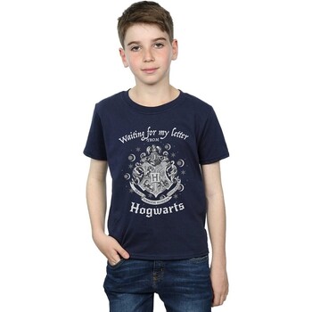 Vêtements Garçon T-shirts manches courtes Harry Potter Waiting For My Letter Bleu
