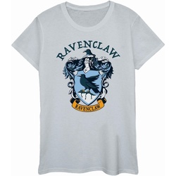 Vêtements Femme T-shirts manches longues Harry Potter BI1345 Gris