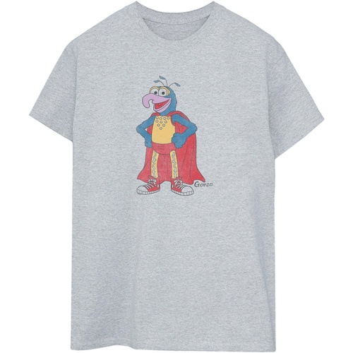 Vêtements Homme T-shirts manches longues The Muppets Classic Gris