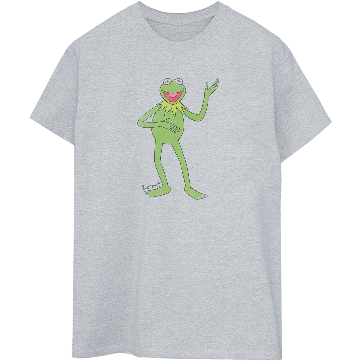 Vêtements Homme T-shirts manches longues The Muppets Classic Gris