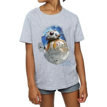 Vêtements Fille T-shirts manches longues Star Wars: The Last Jedi BI1353 Gris