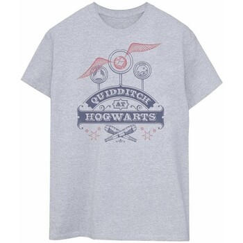 Vêtements Homme T-shirts manches longues Harry Potter Quidditch At Hogwarts Gris