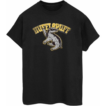 Vêtements Femme T-shirts manches longues Harry Potter BI1359 Gris