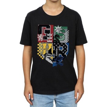 Vêtements Garçon T-shirts manches courtes Harry Potter BI1366 Noir