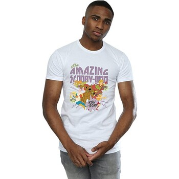 Vêtements Homme T-shirts manches longues Scooby Doo The Amazing Scooby Blanc
