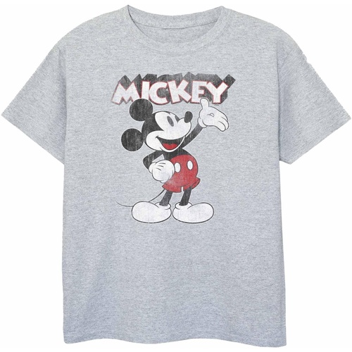 Vêtements Fille T-shirts manches longues Disney Presents Gris