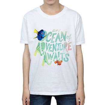 Vêtements Garçon T-shirts manches courtes Finding Dory Ocean Adventure Blanc