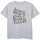 Vêtements Garçon T-shirts manches courtes Dessins Animés BI1401 Gris