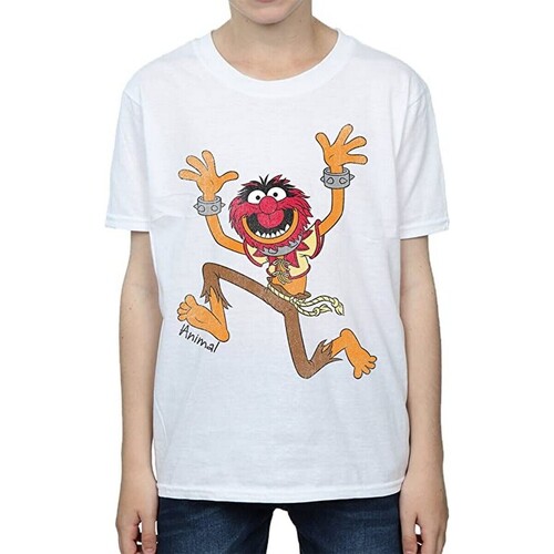 Vêtements Garçon T-shirts manches courtes The Muppets Classic Blanc