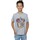 Vêtements Garçon T-shirts manches courtes Harry Potter BI1423 Gris