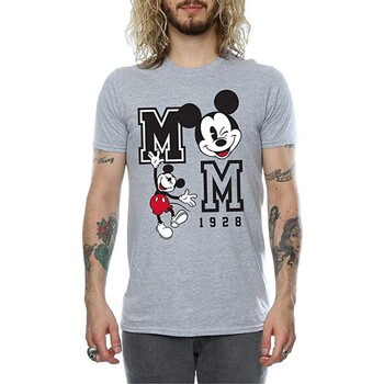 Vêtements Homme T-shirts manches longues Disney Jump And Wink Gris