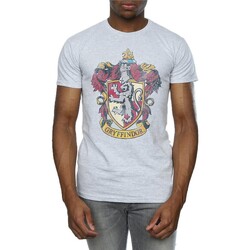 Vêtements Wei T-shirts manches longues Harry Potter  Gris