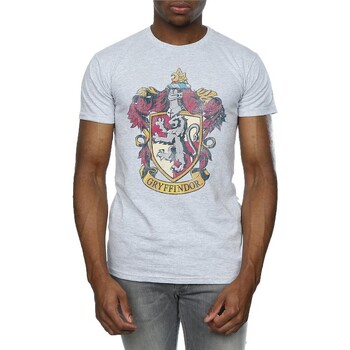 Vêtements Homme T-shirts manches longues Harry Potter BI1443 Gris