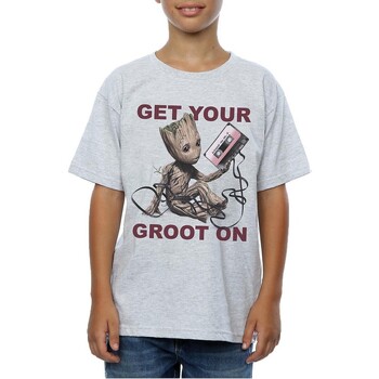 Vêtements Garçon T-shirts manches courtes Guardians Of The Galaxy Get Your Groot On Gris
