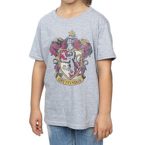 Vêtements Fille Noir Pull & Bear T-shirts Harry Potter  Gris